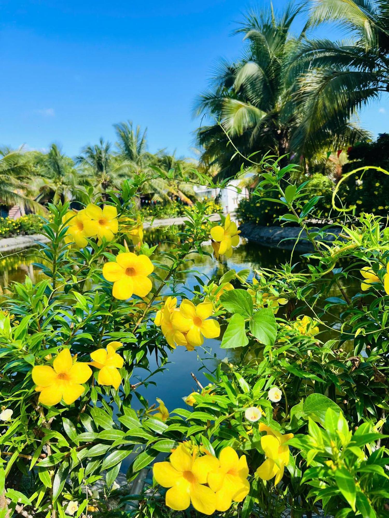 Ho Coc Park & Resort Xa Nhu Lam Ngoại thất bức ảnh