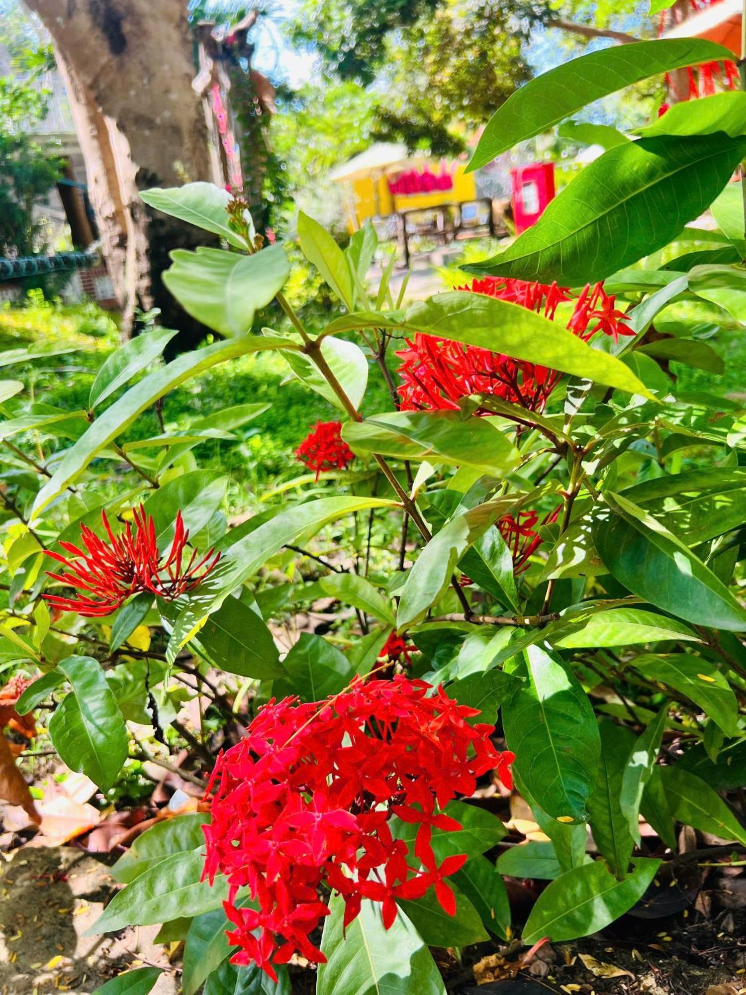 Ho Coc Park & Resort Xa Nhu Lam Ngoại thất bức ảnh